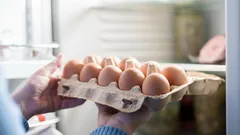 Czy można trzymać jajka na drzwiach lodówki: najczęstsze błędy przy przechowywaniu jajek