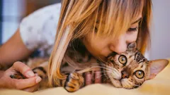 Kot cię kocha, ale milczy: 10 gestów, których mogłeś nie zauważyć