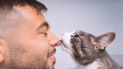 Tajemnice kociej czułości: Dlaczego koty liżą właściciela po głowie