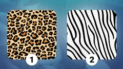 Serce czy rozum: wybierz wzór i dowiedz się, co tak naprawdę Tobą kieruje